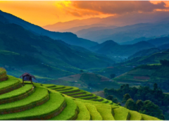 Vietnam Awaits: Best Vietnam Tour Package & Top Tour Company in Dubai